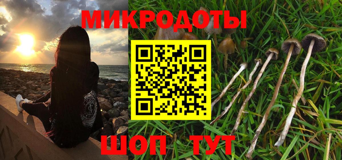 Галлюциногенные грибы Psilocybe  Вход с VPN  Псилоцибиновые грибы Cubensis  Соликамск 